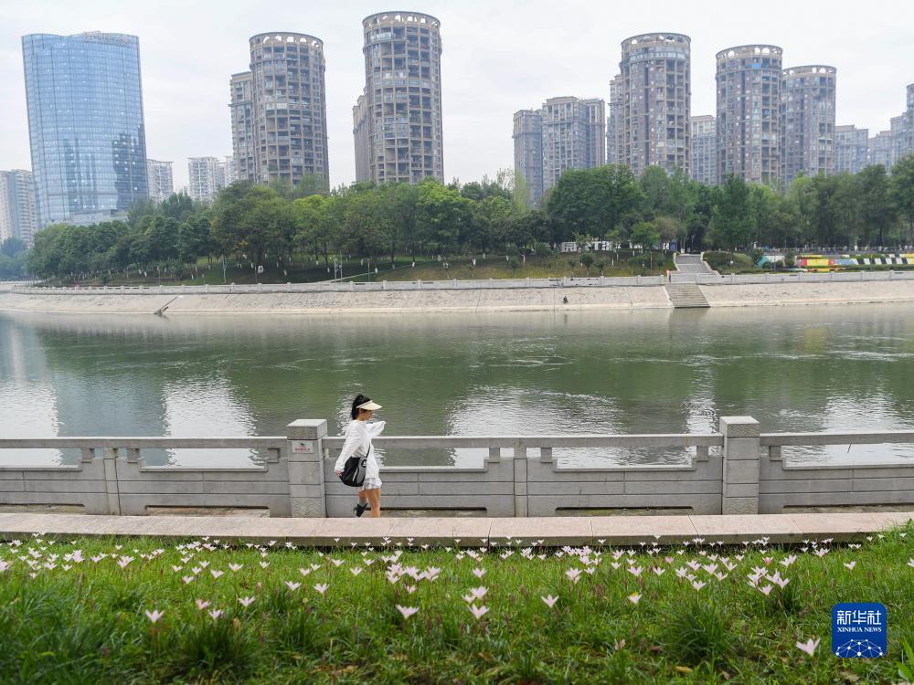 神话网站线路